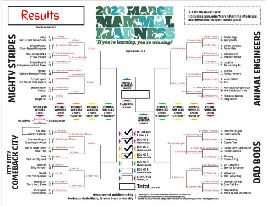 March Mammal Madness – THE CURRENT